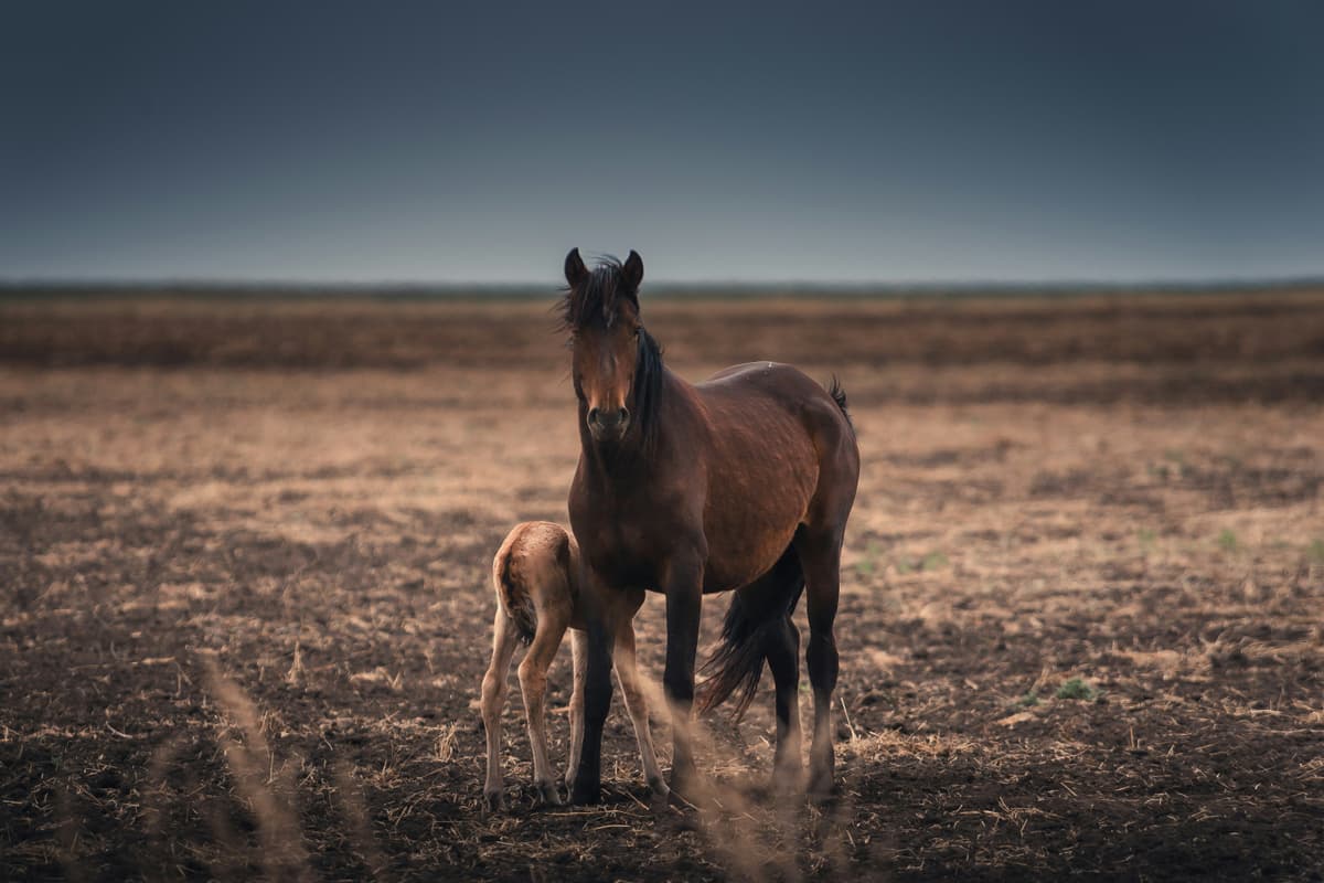 Should You Use an Inheritance to Pay Off Credit Card Debt?