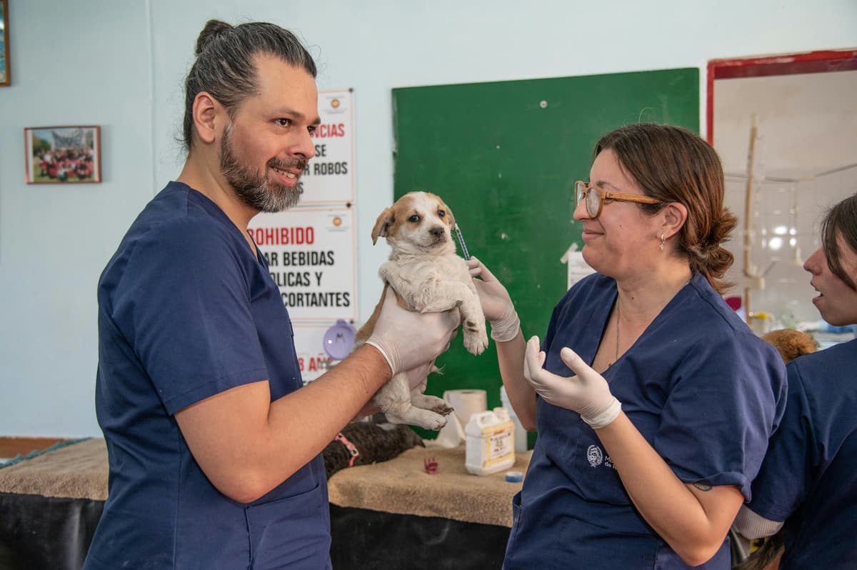 Credit Card Debt from Veterinary Emergencies: How to Resolve What the Vet Bill Left Behind