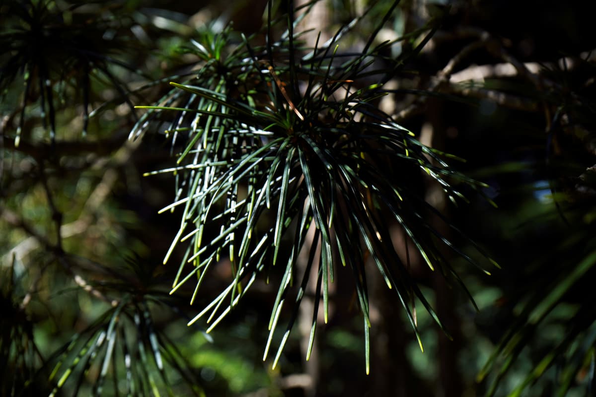 Credit Card Debt After Losing a Spouse: A Practical Guide for the Recently Widowed